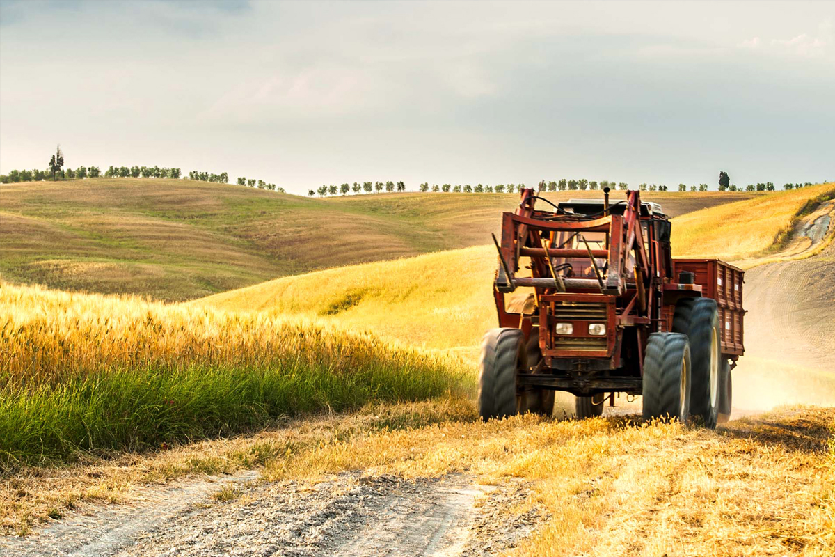 Trattore agricolo al lavoro tra i campi di grano, in un paesaggio rurale caratterizzato da colline e coltivazioni dorate.